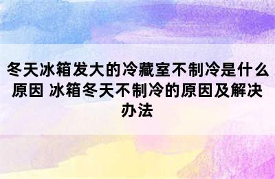 冬天冰箱发大的冷藏室不制冷是什么原因 冰箱冬天不制冷的原因及解决办法